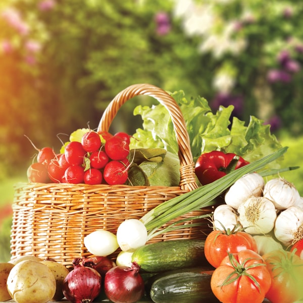 Plant-based Nutrition Plant-based Nutrition